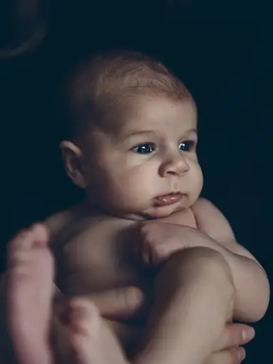 bebe6